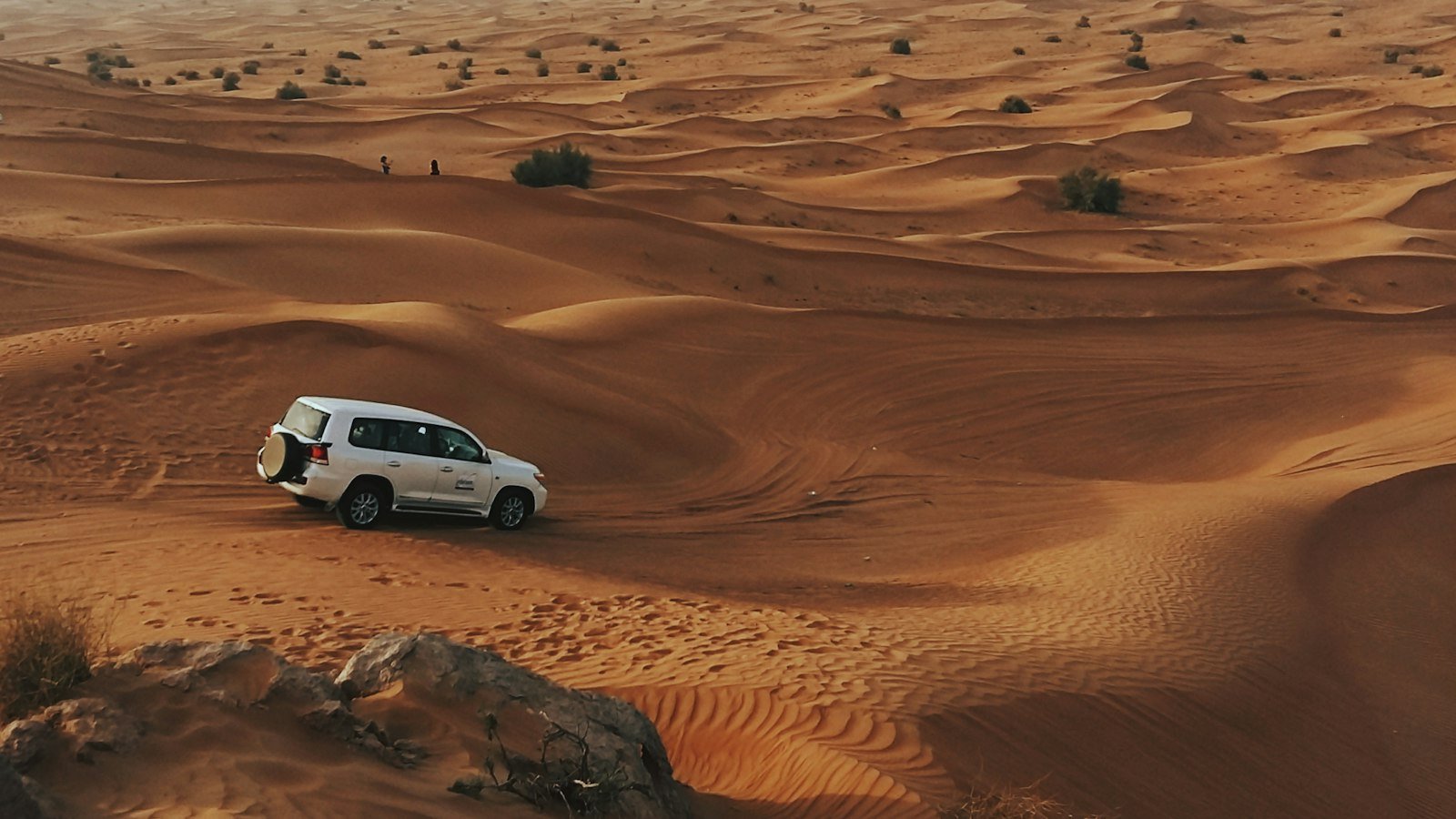 Dubai Desert Safari: The Complete Guide to Choosing One