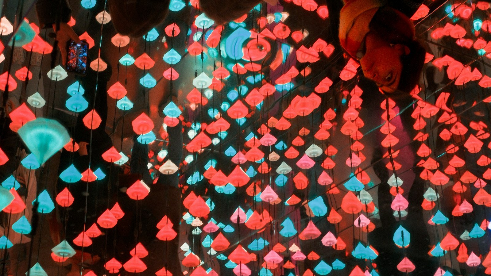 teamLab Phenomena + Louvre Abu Dhabi Combo Ticket
