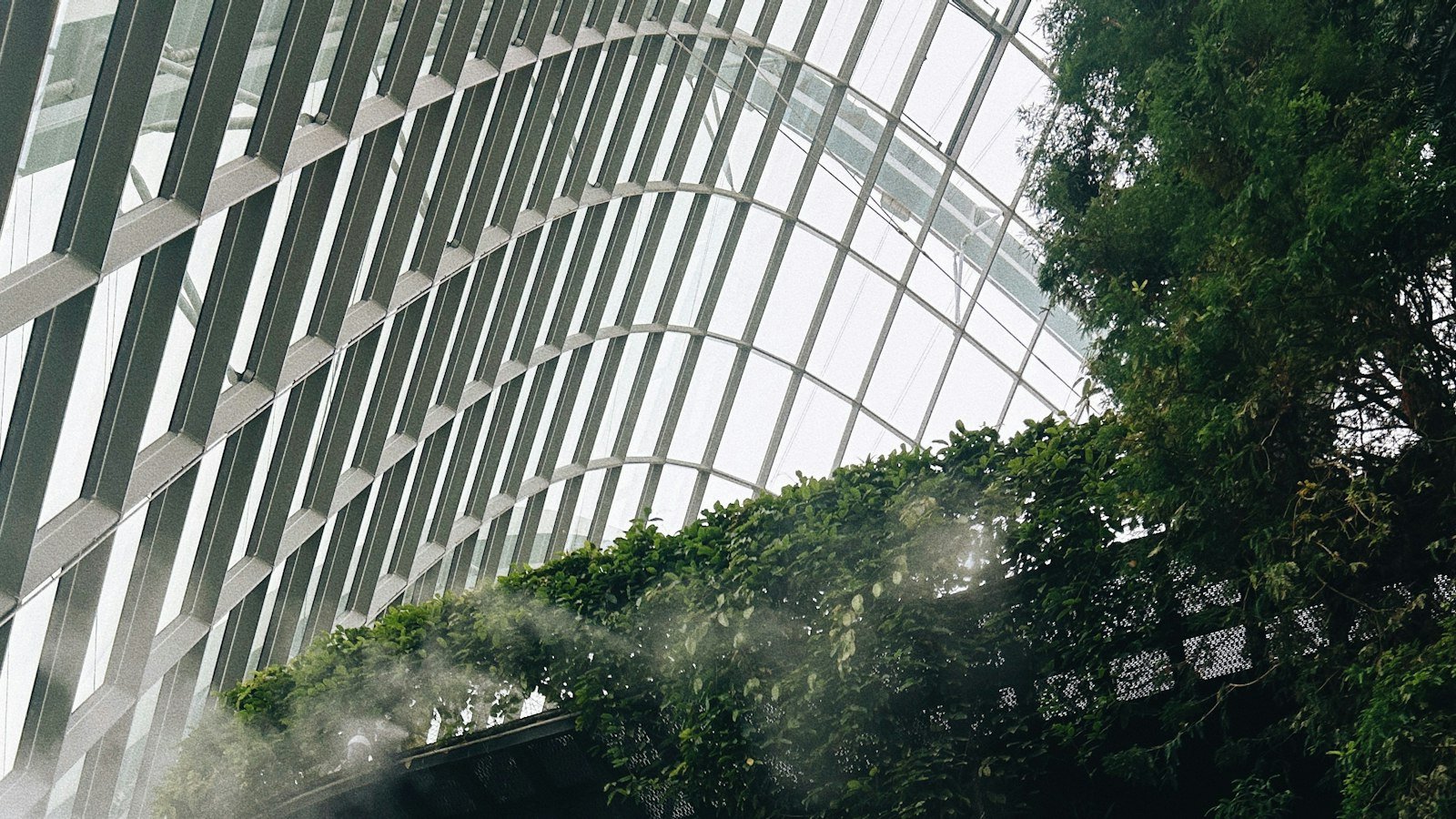 The Green Planet Dubai Tickets